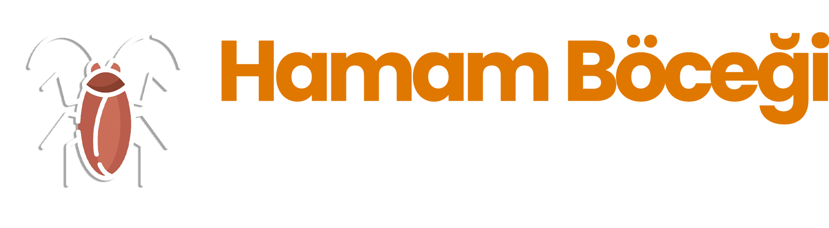 Ankara Hamam Böceği İlaçlama